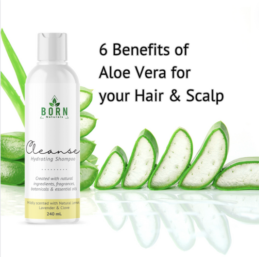6 Benefits of Aloe Vera for your Hair & Scalp